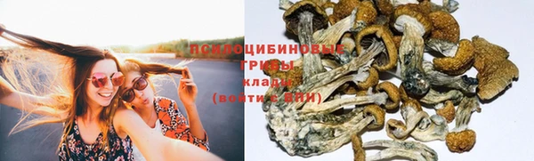 шишки Алексеевка