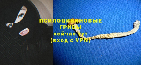 a pvp Алексин