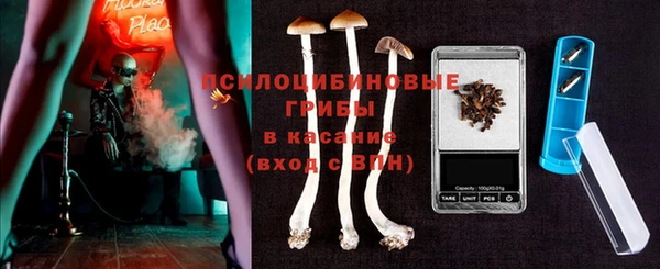 шишки Алексеевка