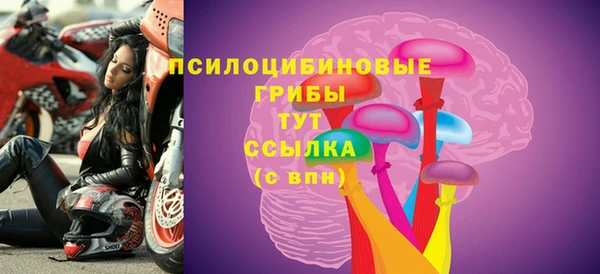 шишки Алексеевка